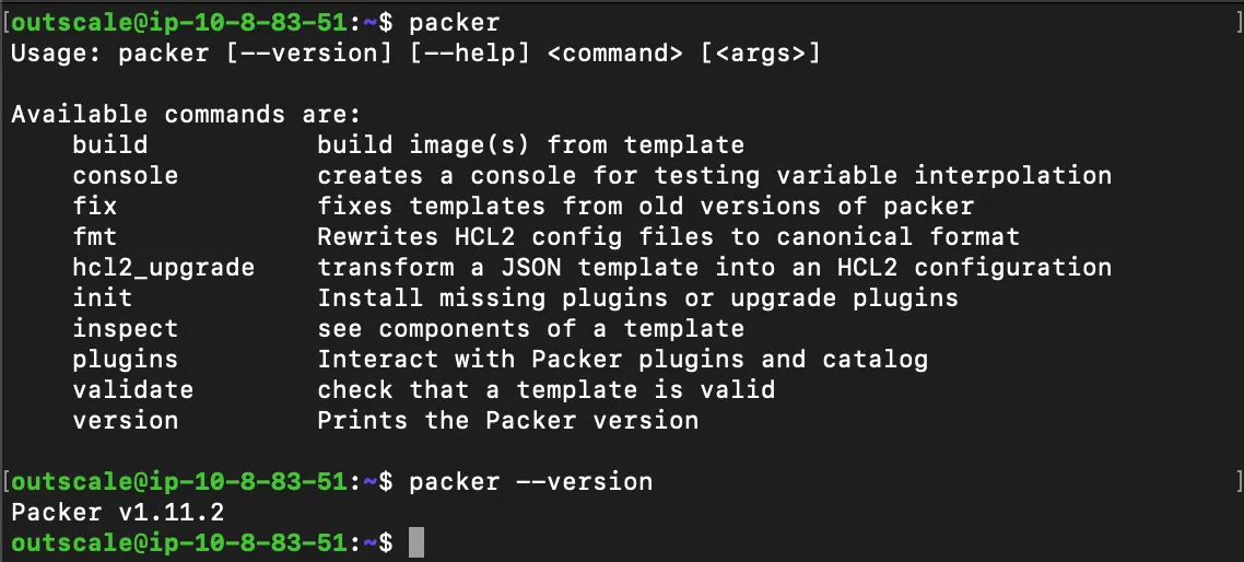 packer version output