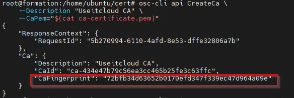 osc-cli ca output
